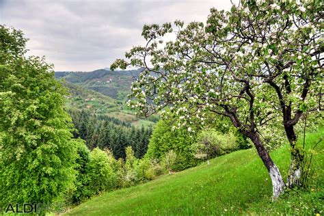 Пейзажи от красива България Пролетни пейзажи Hd тапети за десктоп и