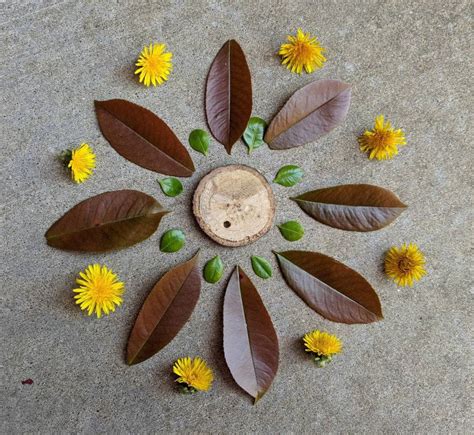 CBfromHome Activity Nature Mandalas Crystal Bridges Museum Of