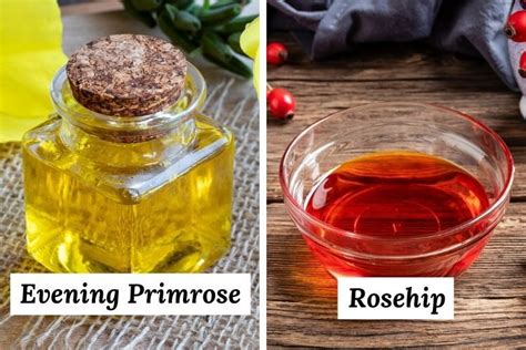 Evening Primrose Oil Vs Rosehip Oil Benefits Differences How To Use And Best Brands Evening