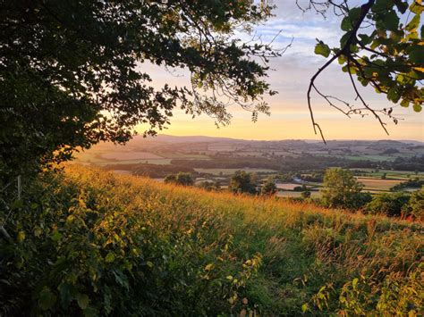 Denbury Hillfort - Guided Walk - Devon Connect