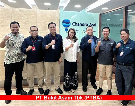 Bukit Asam Ptba Terus Perluas Bisnis Energi Baru Terbarukan