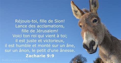 Zacharie Verset De La Bible Dailyverses Net