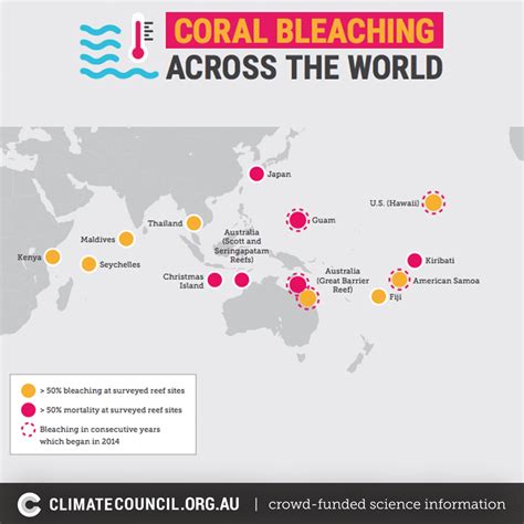 Climate Change A Deadly Threat To Coral Reefs Climate Council