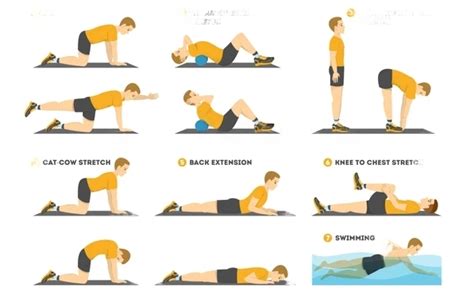 12 Exercises to Improve Posture and Relieve Lower Back Pain 2023