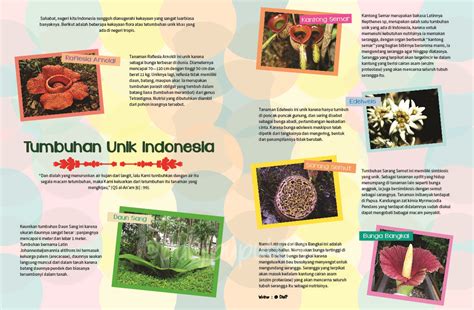 Kenali Ini 5 Tumbuhan Unik Asli Khas Indonesia Yang M