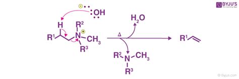 Hofmann Elimination Step By Step Mechanism Illustrations