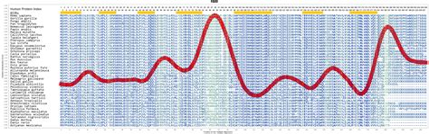 FADD Gene - GeneCards | FADD Protein | FADD Antibody