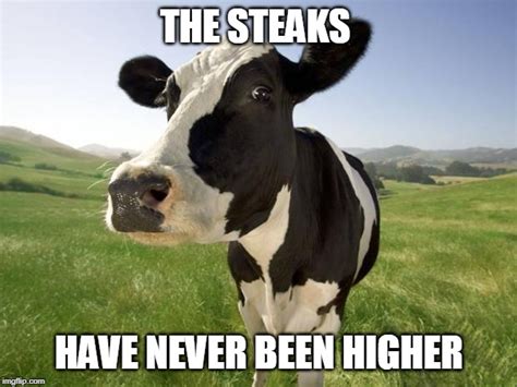 Bad Cow Pun Imgflip