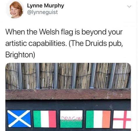 Fuck Welsh Flags Dragon R FUCKYOUINPARTICULAR