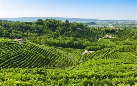 Amazing Landscape Of Prosecco Wine Tours Along Strada Del Prosecco