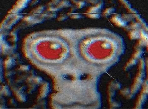 PBBV Sound by OctaveDeEsserTransient79968 Sound Effect - Tuna