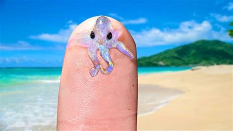 Cutest And Tiniest Sea Creatures Sea Creatures Creatures Cute