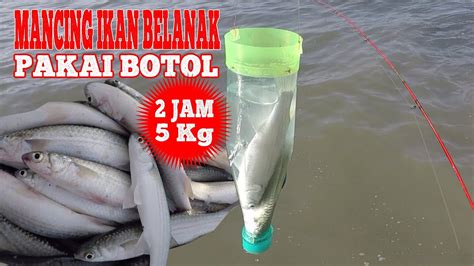 MANCING IKAN BELANAK PAKAI BOTOL 2 JAM DAPAT 5 KG YouTube