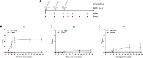 Frontiers Synthetic SARS CoV 2 Spike Based DNA Vaccine Elicits Robust