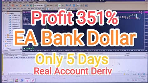 Profit 351 EA Bank Dollar Range Break Index 100 Real Account