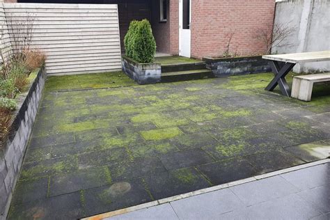 Terrasreiniging Beste Manier Om Groene Aanslag Te Verwijderen Vdh