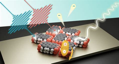 Ultrafast Exciton Dynamics And Charge Transfer At Ptcda Metal Interfaces The Journal Of