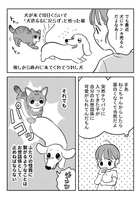 「なんか良い日」ちとせの漫画