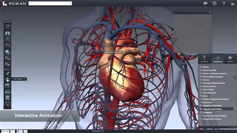 POTENCIA tus Clases Virtuales con esta Aplicación de Anatomía Humana en