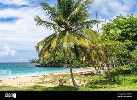 North America Caribbean Greater Antilles Hispaniola Island