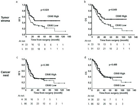 Kaplan Meier Estimates Of Relapse Free Survival Rfs A And Overall