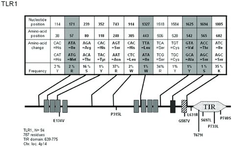 Schematic Representation Of Tlr1 And Position And Frequency Of Single