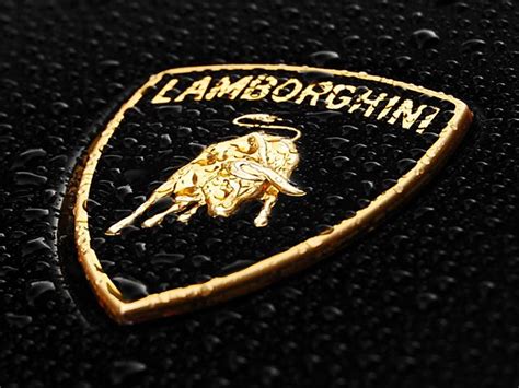 Lamborghini Logo 640x480 In 2021 Lamborghini Logo Lamborghini Car Logos