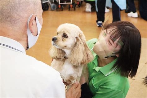 動物共生研究科中央動物専門学校の情報 学校選びは【みん専】