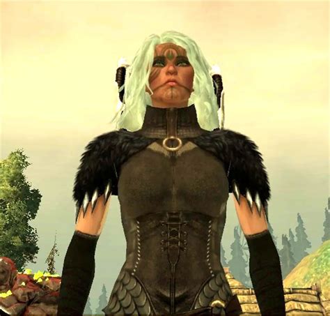 More Covered Female Chasind Robes Retexture At Dragon Age Origins