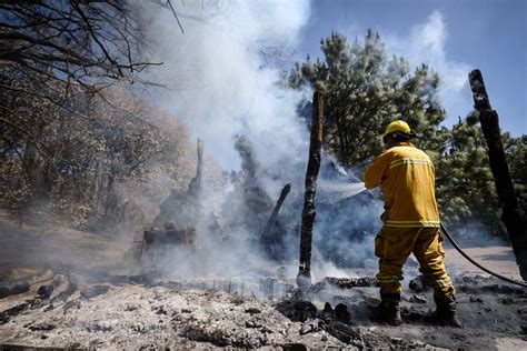 Incendios Forestales Afectaron Más De 65 Mil Hectáreas De Territorio En