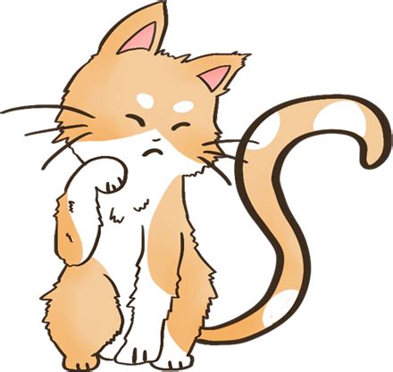 猫咪