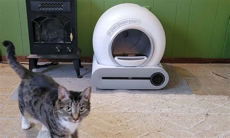 BASTRUMI Self Cleaning Cat Litter Box Review Cats