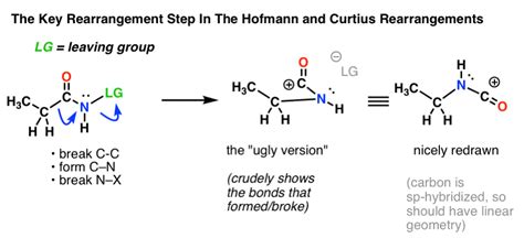 The Hofmann And Curtius Rearrangements Master Organic Chemistry