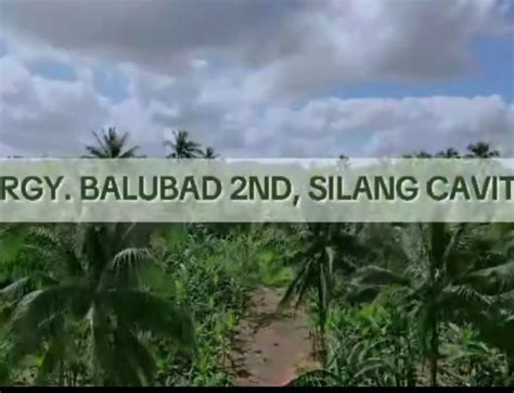 Residential Farm Lot For Sale Silang Cavite Properties January