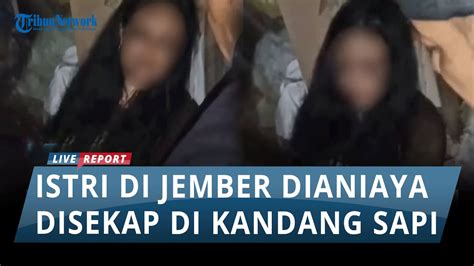 VIRAL ISTRI Di Jember Dianiaya Hingga Disekap Di Kandang Sapi Pelaku