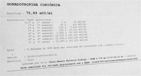 Quantitativo Baixo Para A Idade Gestacional ENTENDA SEU BETA HCG 135680