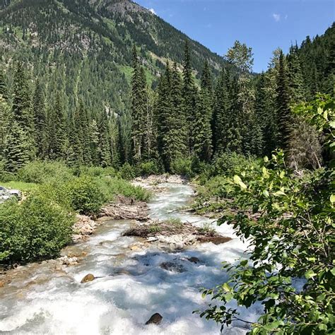 Roger S Pass Summit Glacier National Park Of Canada All You Need To Know Before You Go