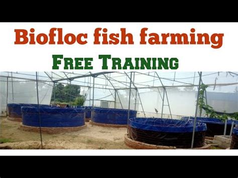 Biofloc Fish Farming In India Biofloc Fish Farming Training In Bihar