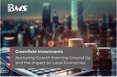 overview  greenfield investments definition risks benefits