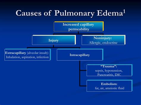 Pulmonary Edema Causes