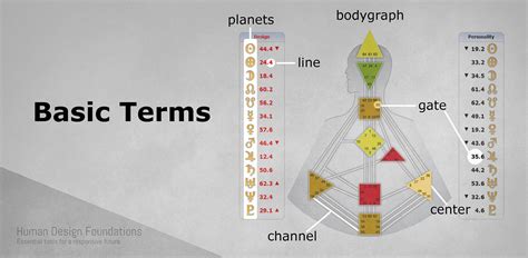 How Do The Parts Of Your Human Design Chart Come Together By