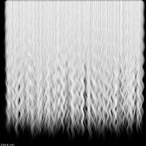 Hair Texture Map