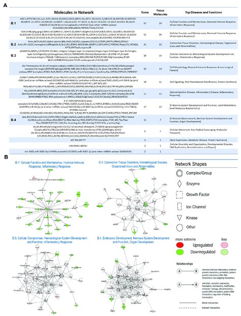 Functional Network Analysis By Ingenuity Pathway Analysis Ipa A