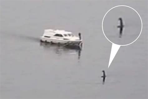 Stunned Tourist Captures ‘loch Ness Monster Swimming Through Waters In Front Of Small Boat In