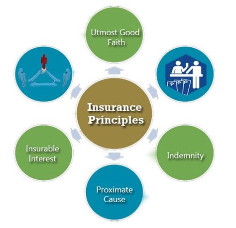 Insurance Principles By Arkjas On Deviantart