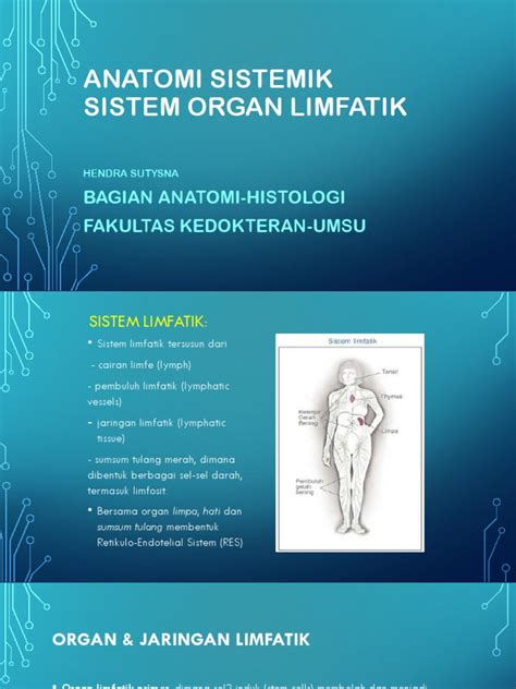 Anatomi Sistemik Sistem Limfatik Pdf Kesehatan Holistik
