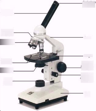 Microscope Parts quiz Diagram | Quizlet