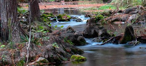 Honey Creek State Natural Area — Texas Parks And Wildlife Department