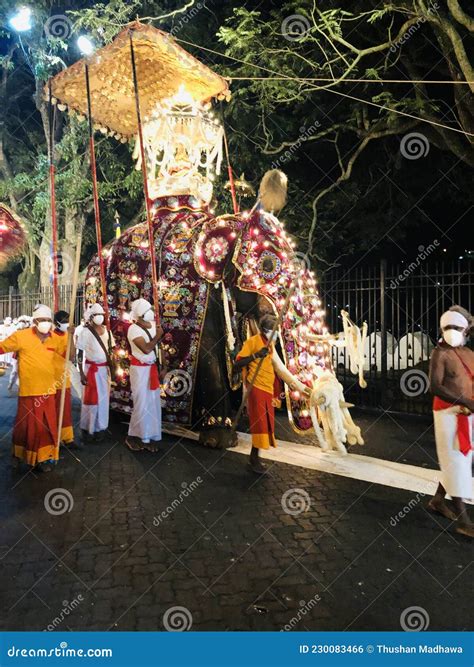 Kandy Esala Perahera Sri Lanka Editorial Photo Image Of Carnival