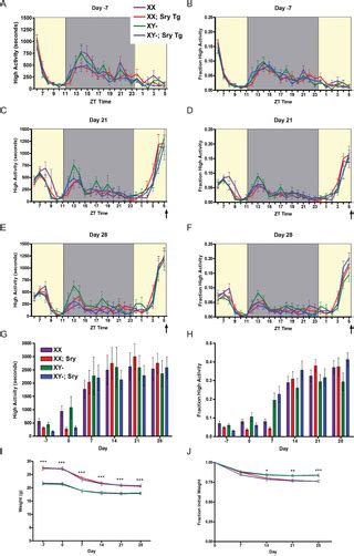 Sex Differences In Circadian Food Anticipatory Activity Are Not Altered